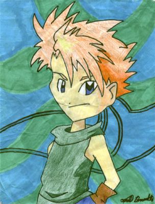 Matt from "Digimon"
